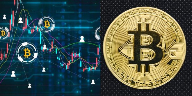 Apakah Bitcoin Price Akan Naik Lagi? Baca Prediksi Berikut